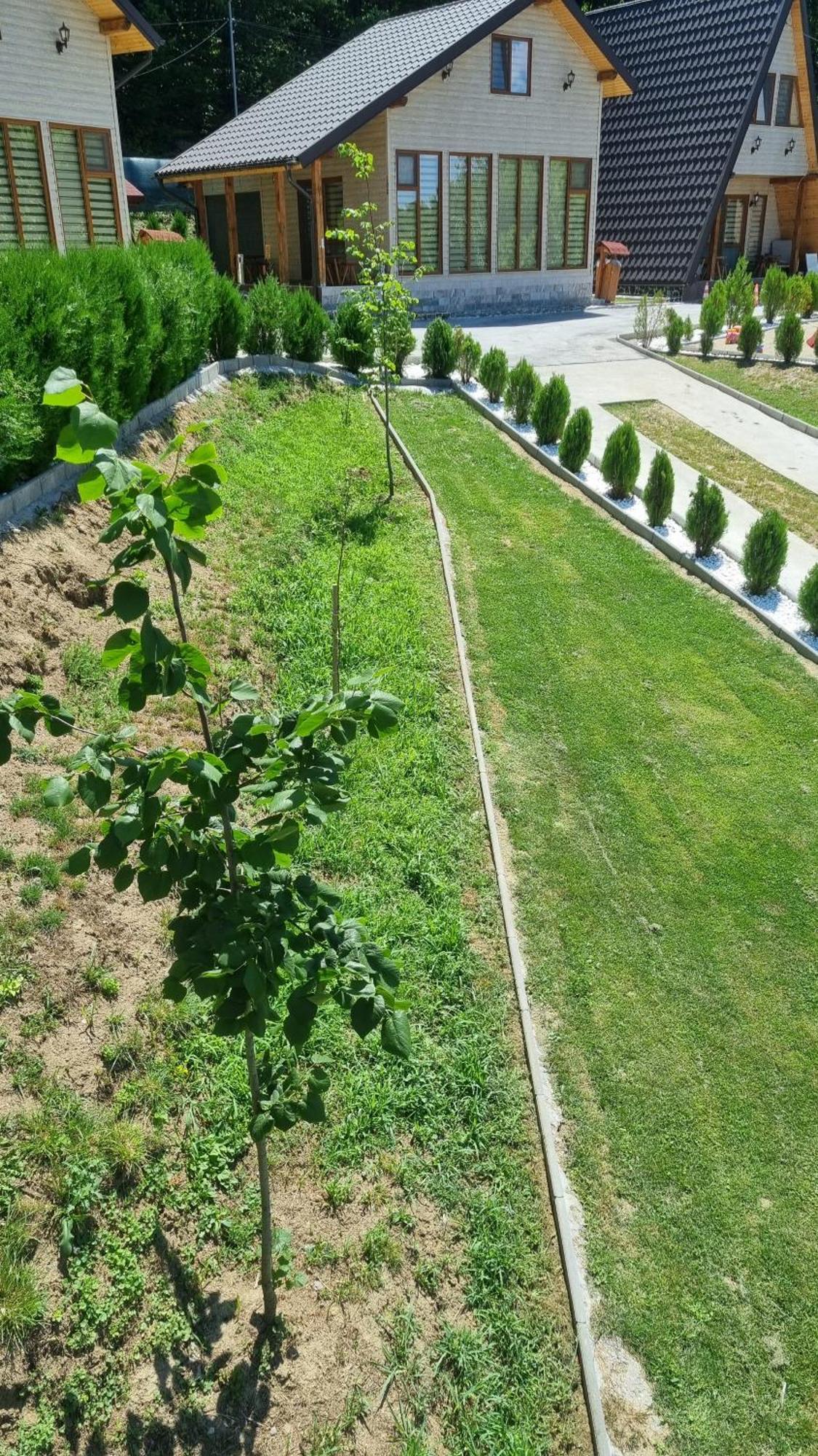 Apartamento La Maria si Ioana Curtea de Argeş Exterior foto